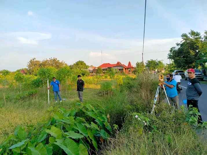 Jasa Bangun Kandang Ayam Petelur
